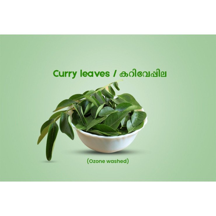 Curry leaves / കറിവേപ്പില - 50.00 gm Pack (Ozone Washed)